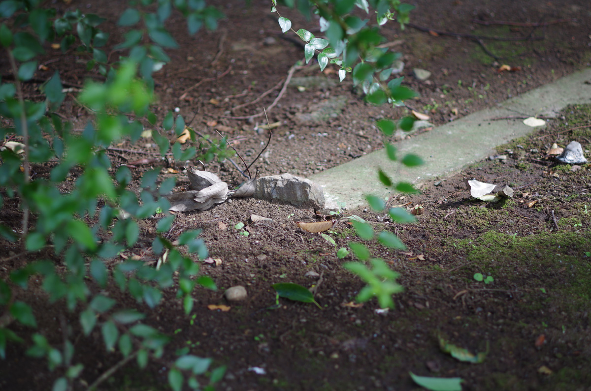 f:id:com:20130930124109j:image