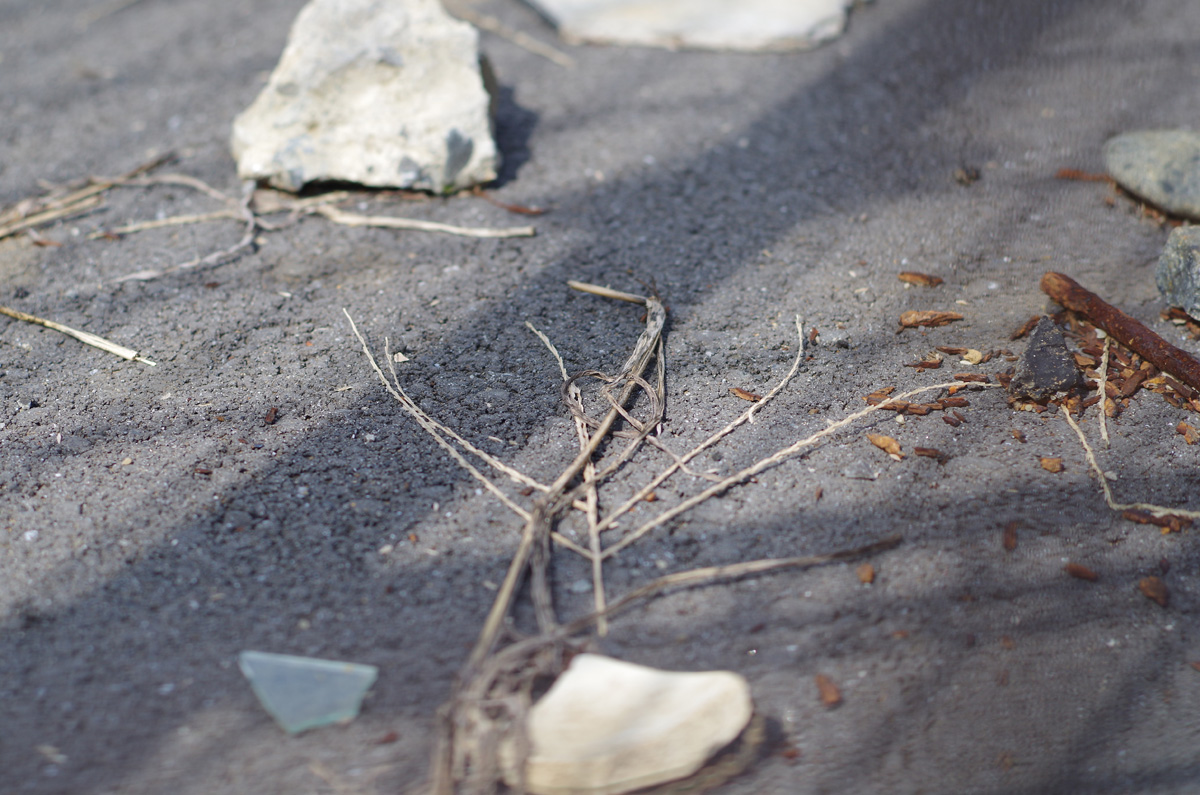 f:id:com:20131007124119j:image