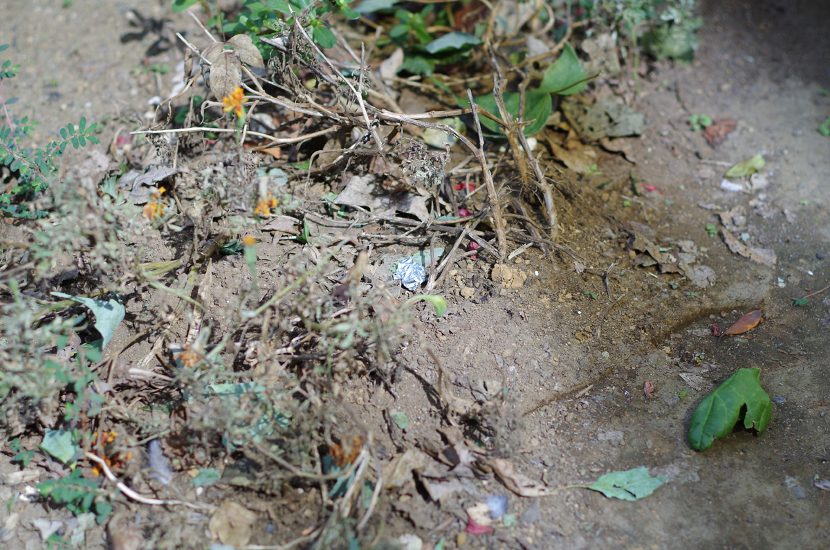 f:id:com:20131014104132j:image