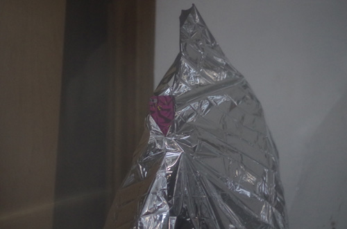 f:id:com:20131014184353j:image