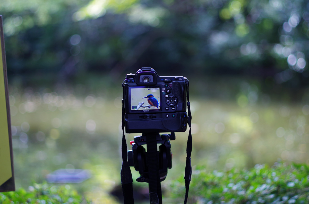 f:id:com:20131030123022j:image