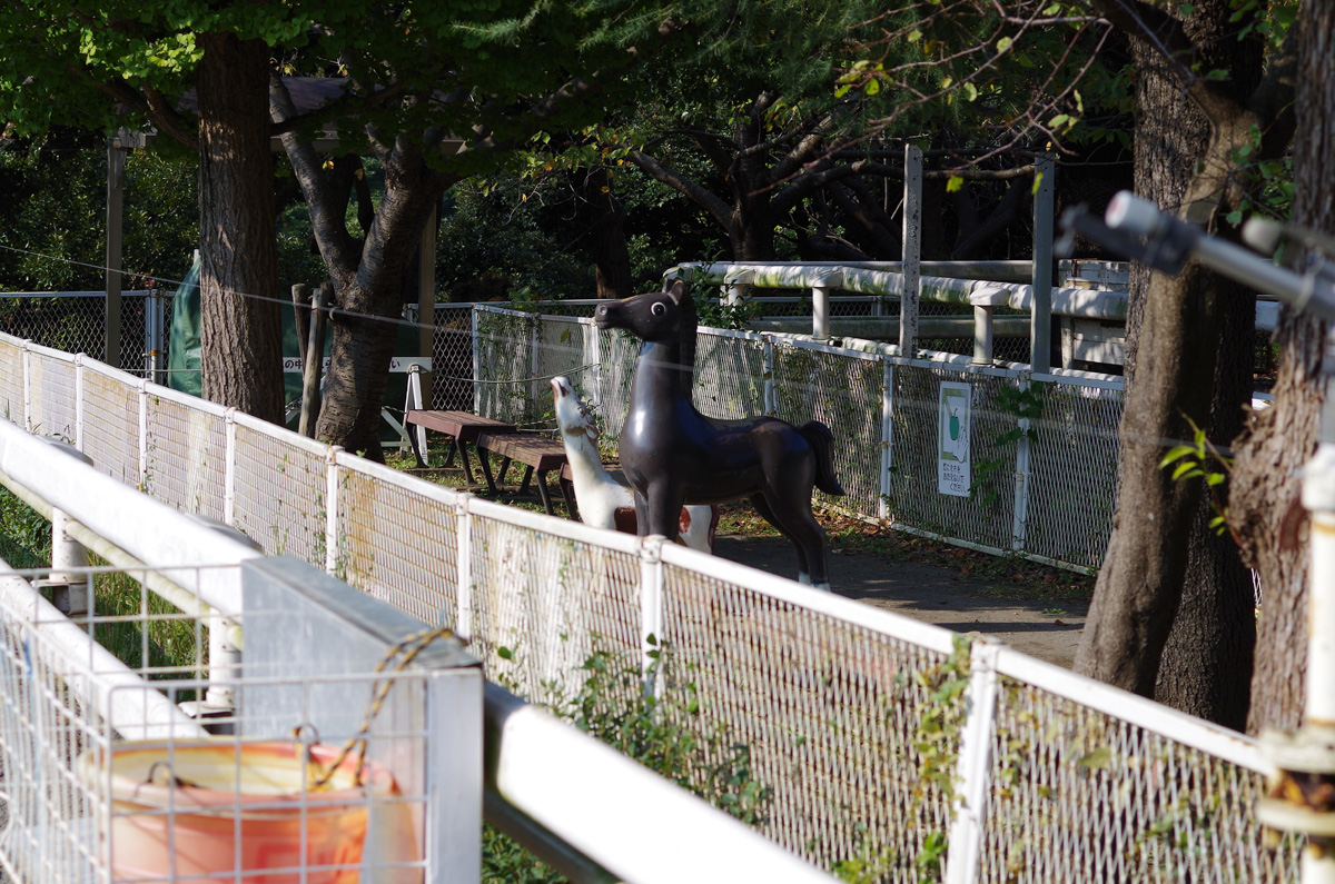 f:id:com:20131101131734j:image