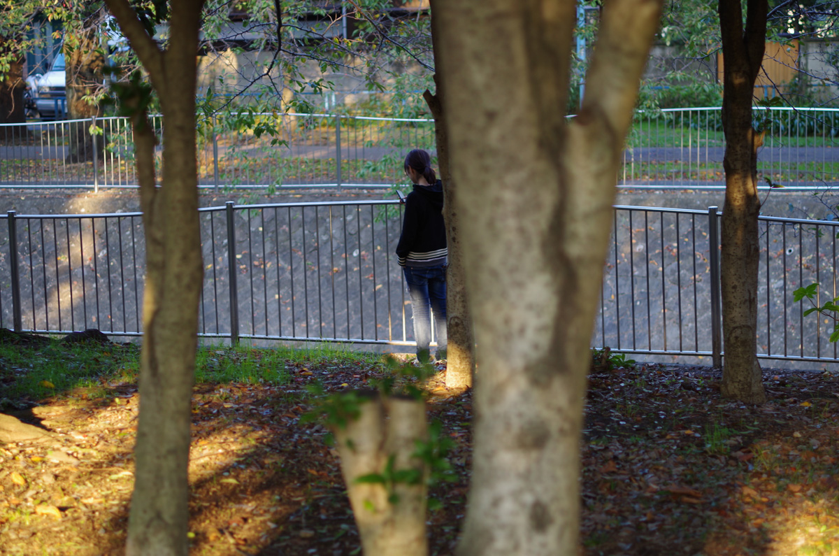 f:id:com:20131105153239j:image