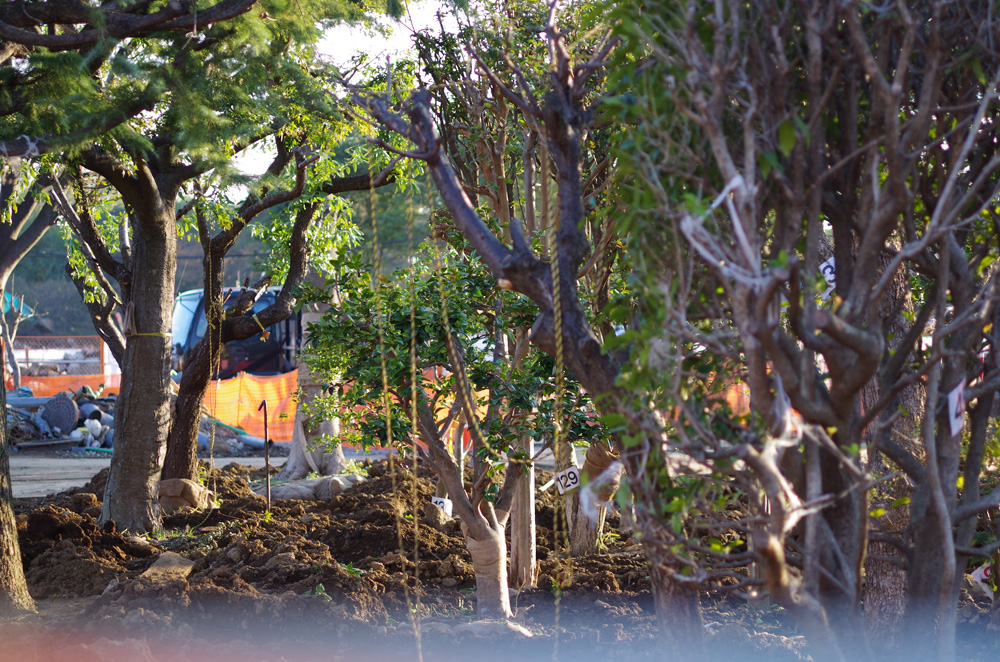 f:id:com:20131106153414j:image