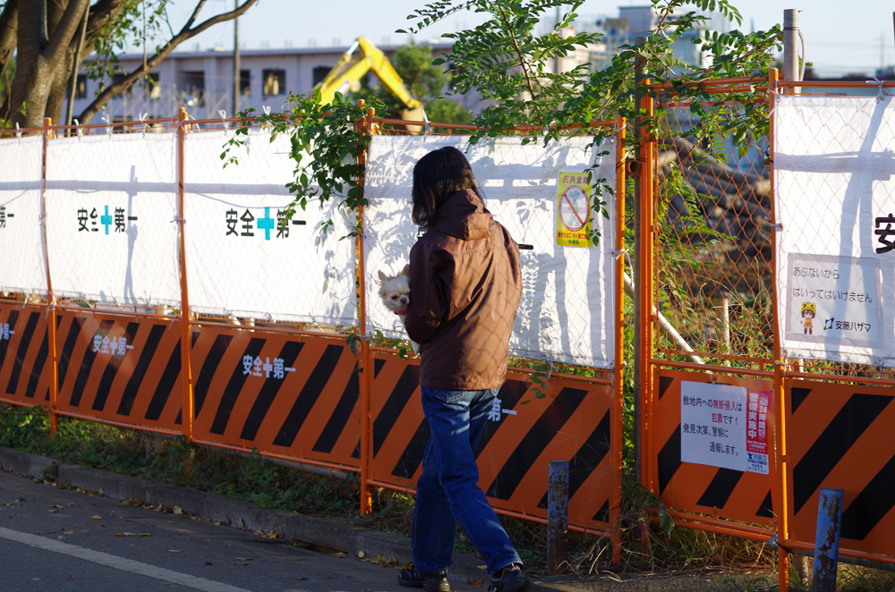 f:id:com:20131106154026j:image