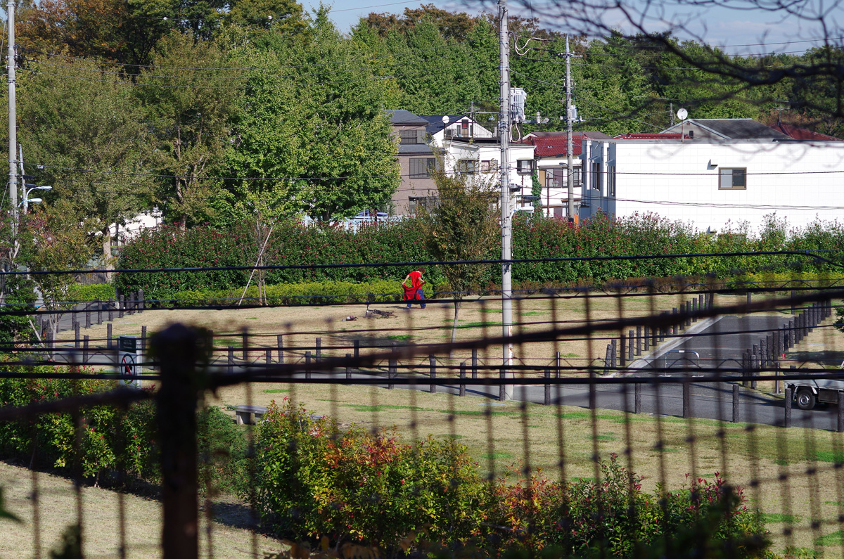 f:id:com:20131112122833j:image