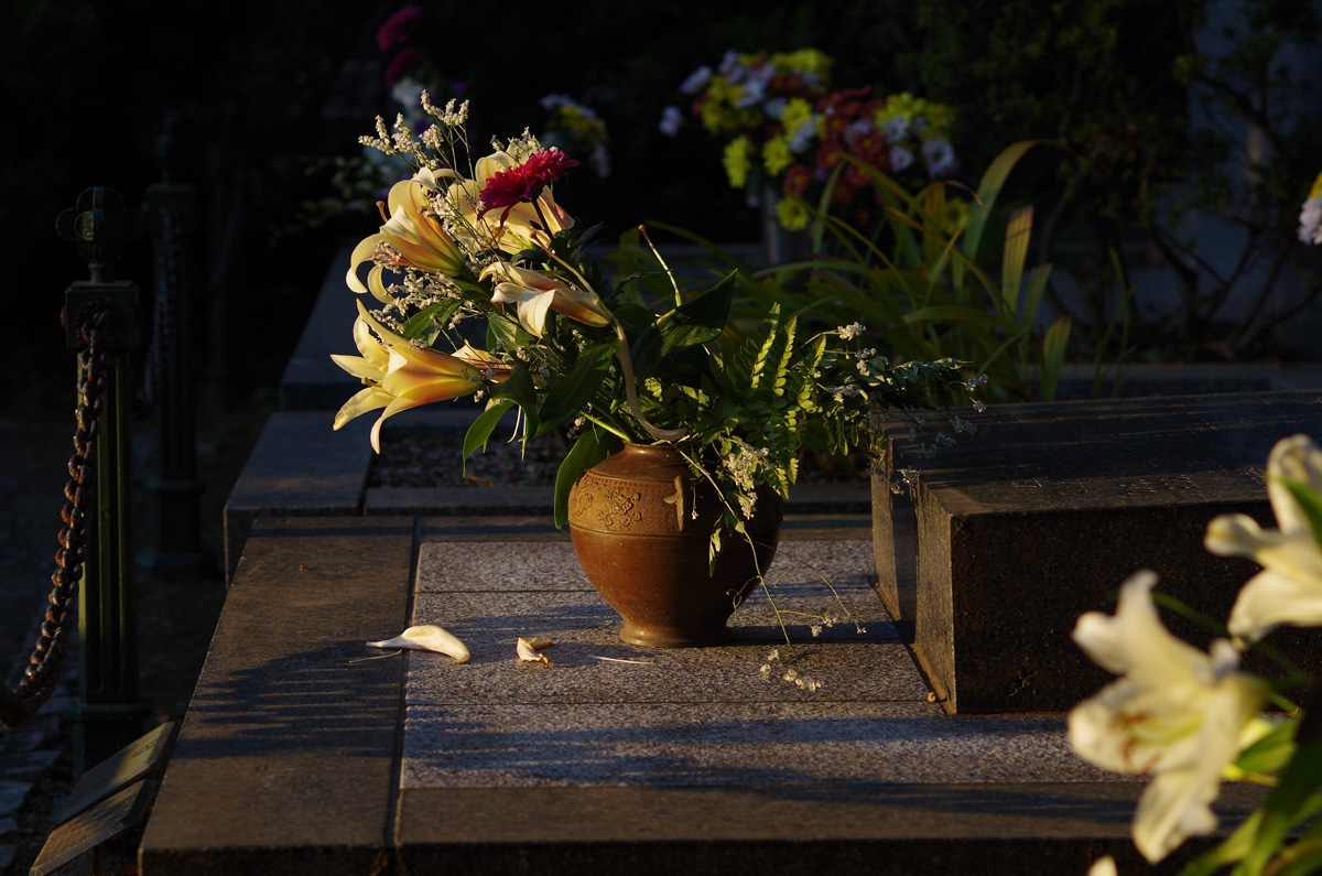 f:id:com:20131116154415j:image