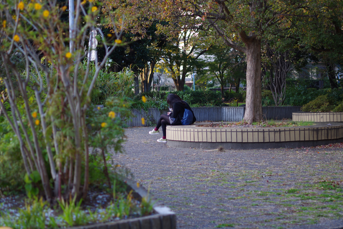 f:id:com:20131118153809j:image