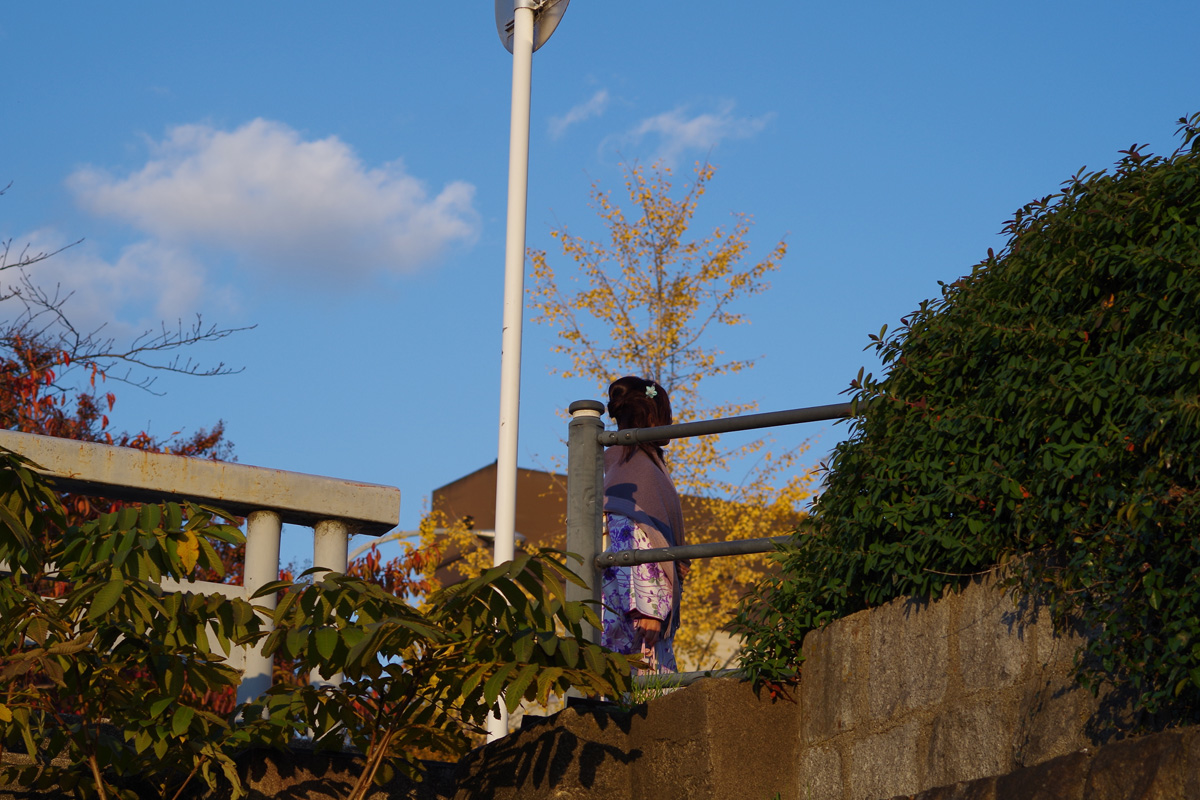 f:id:com:20131122154404j:image