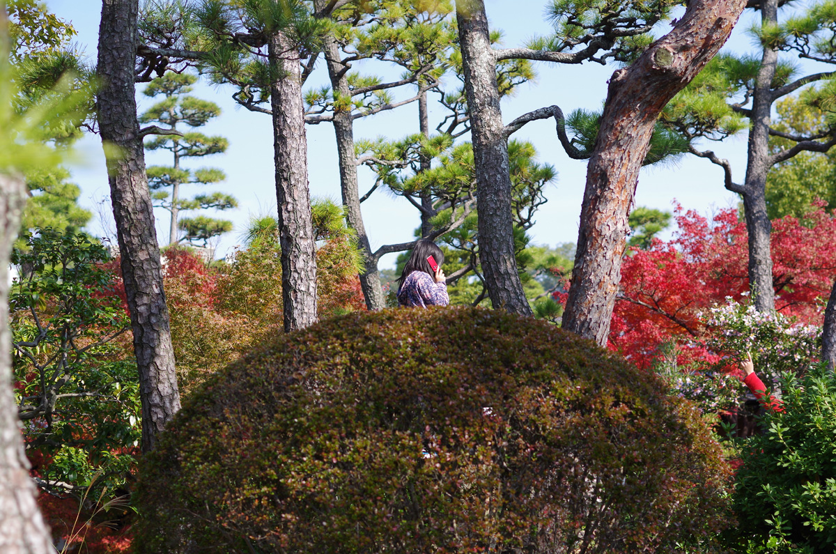 f:id:com:20131124115007j:image