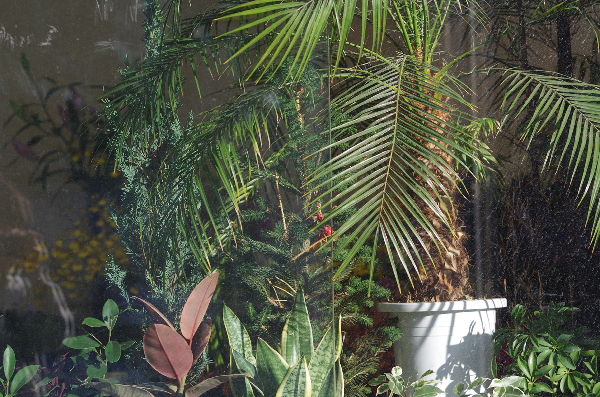 f:id:com:20131130143832j:image