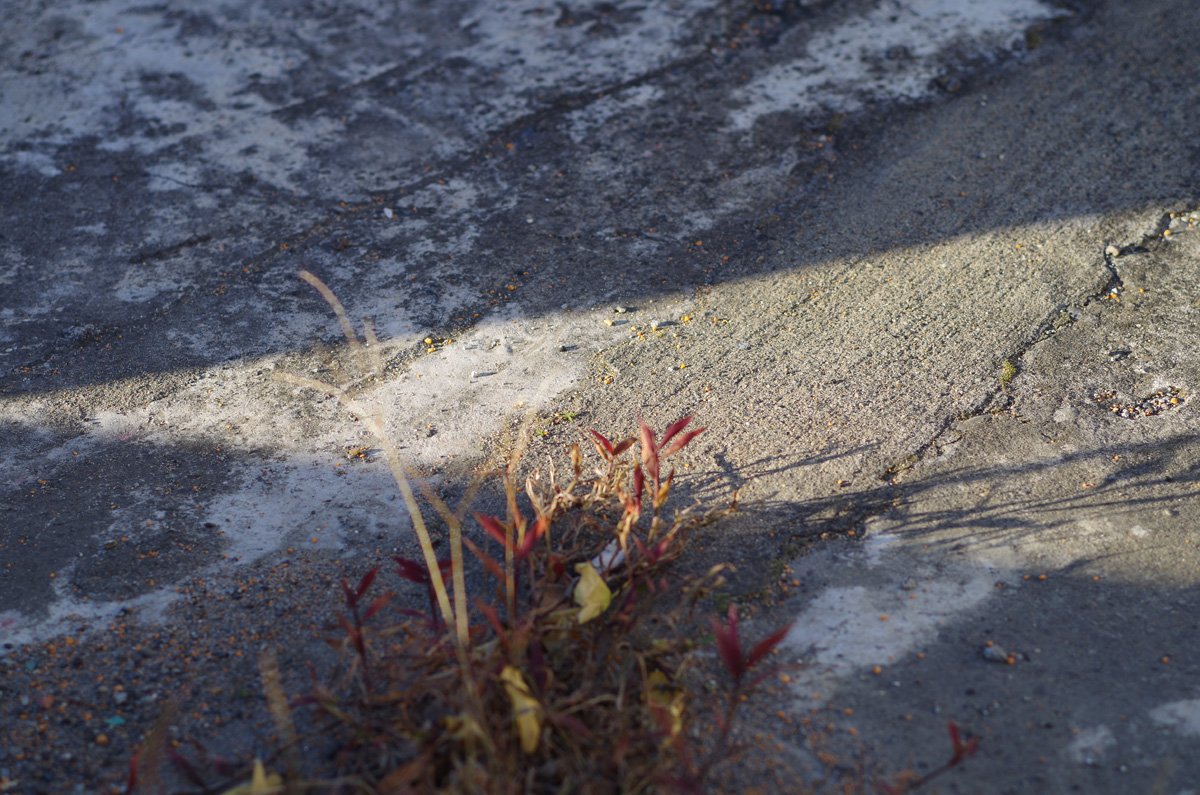 f:id:com:20131130145955j:image
