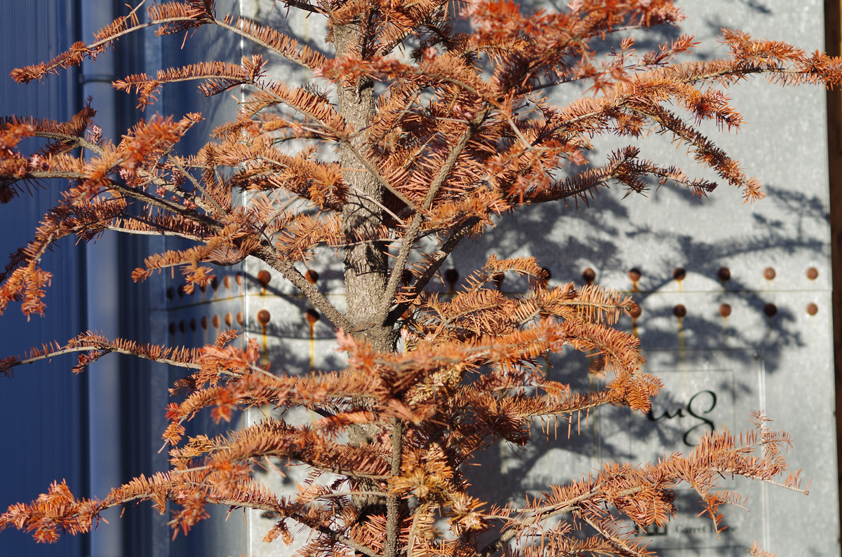 f:id:com:20131130150433j:image