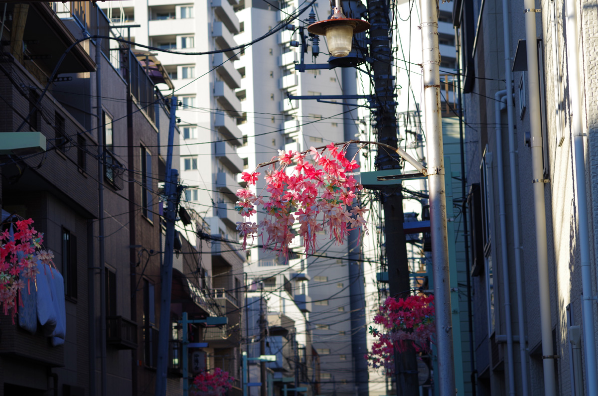 f:id:com:20131130150807j:image