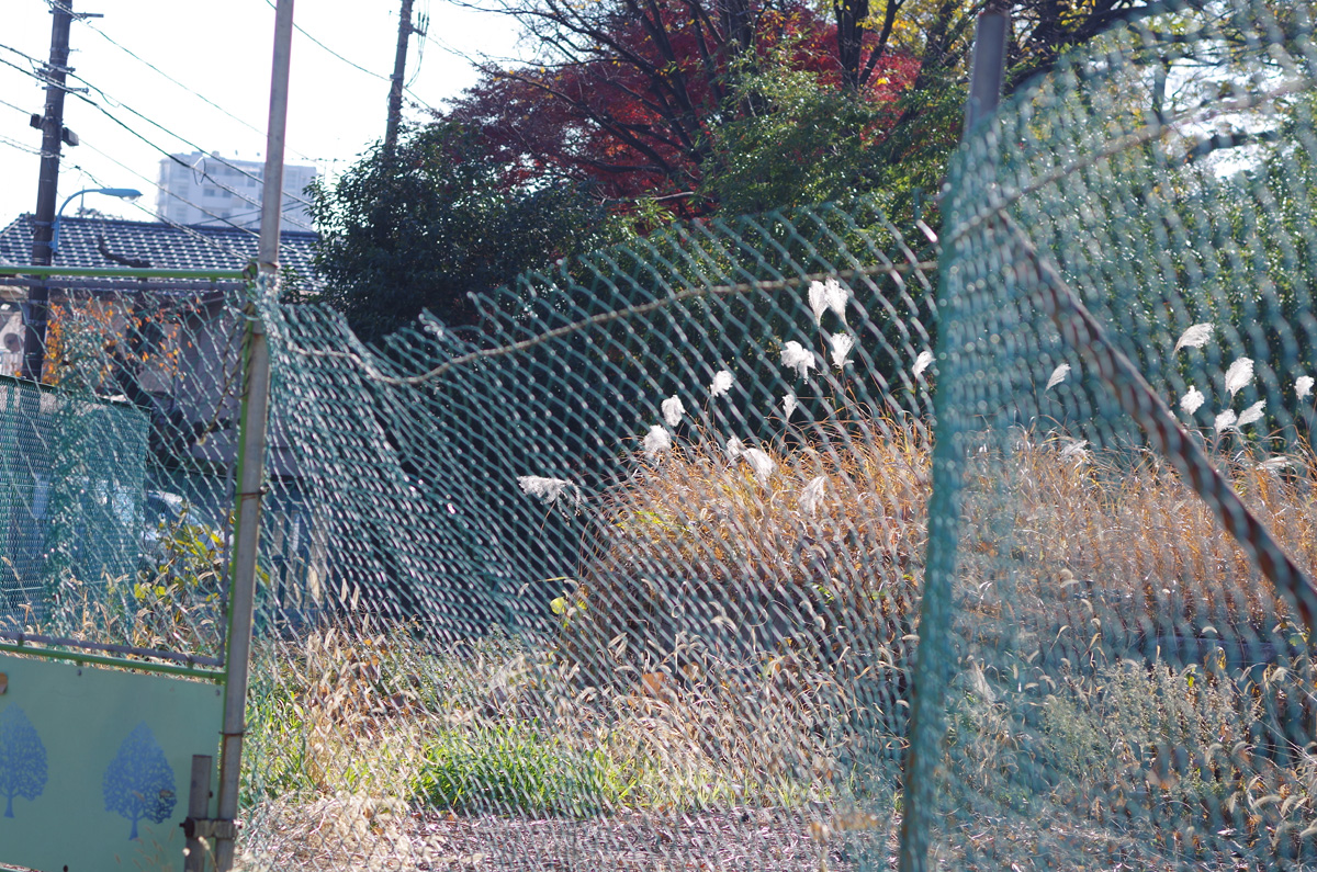 f:id:com:20131205124851j:image