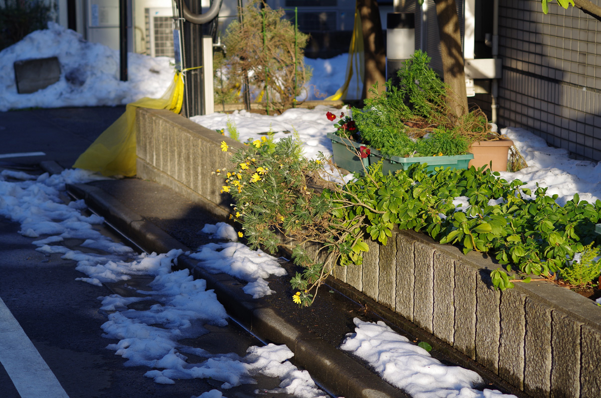 f:id:com:20140216162019j:image