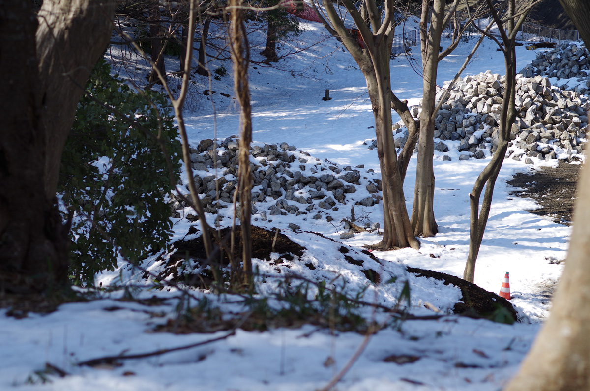 f:id:com:20140218124423j:image