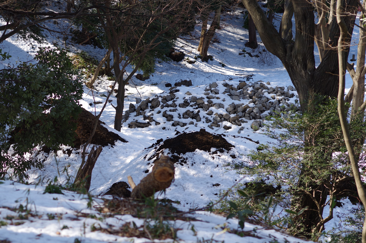 f:id:com:20140218124545j:image