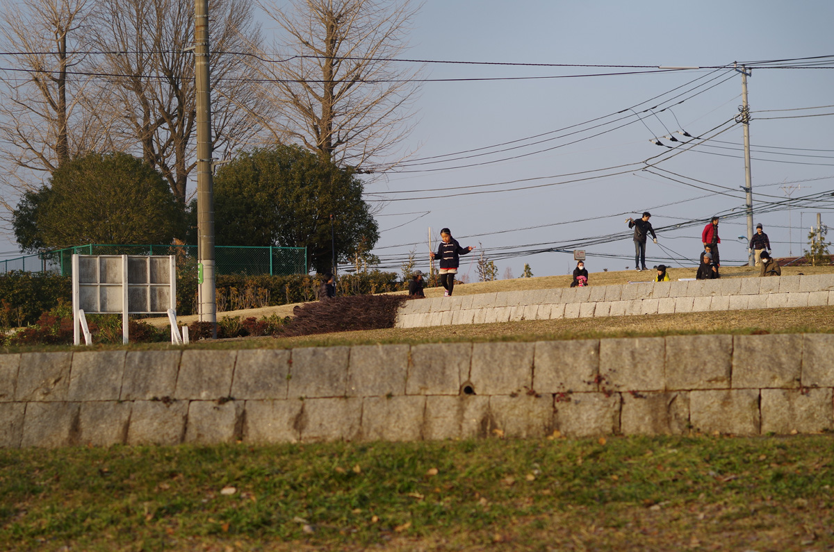 f:id:com:20140226162346j:image