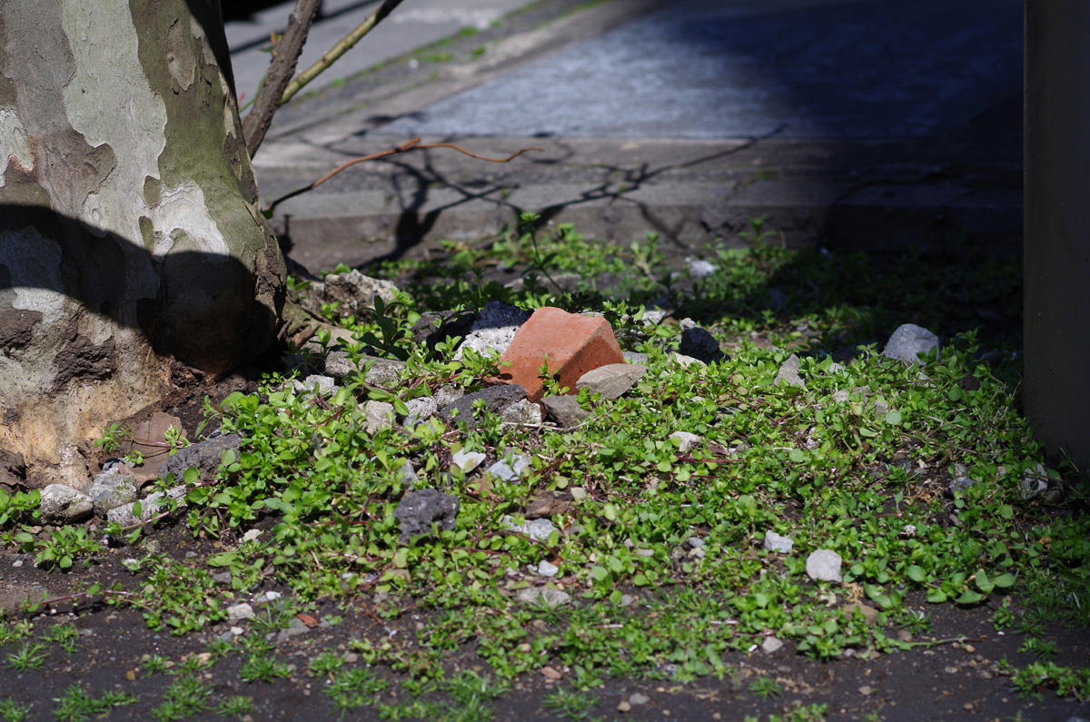 f:id:com:20140308115530j:image