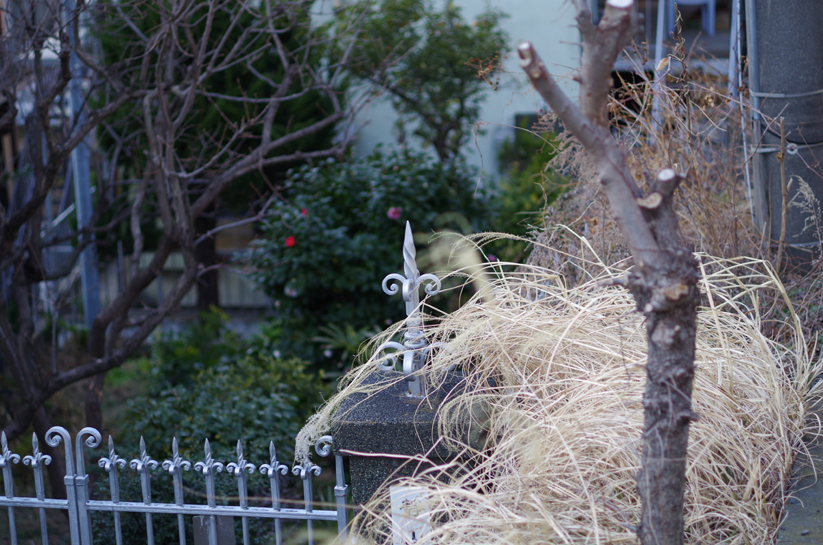 f:id:com:20140308161129j:image