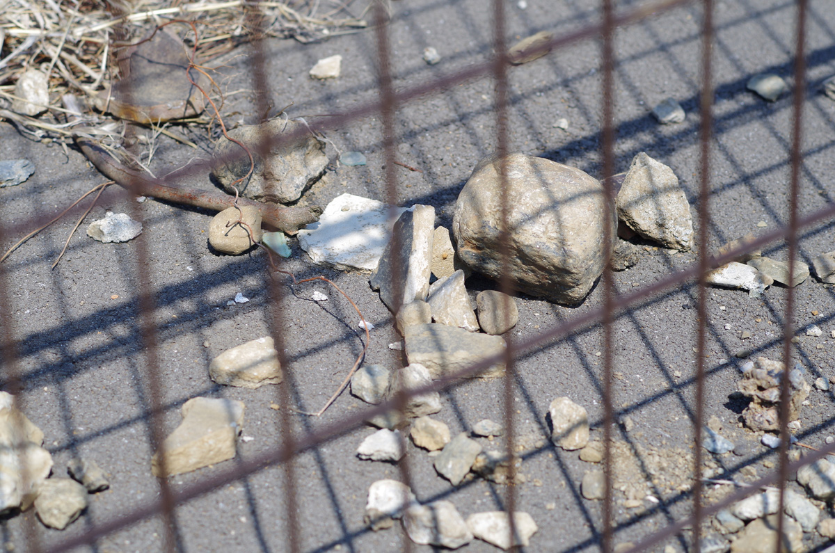 f:id:com:20140317121020j:image