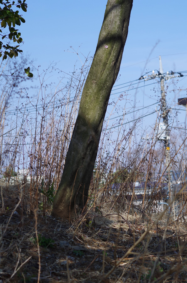f:id:com:20140318125241j:image