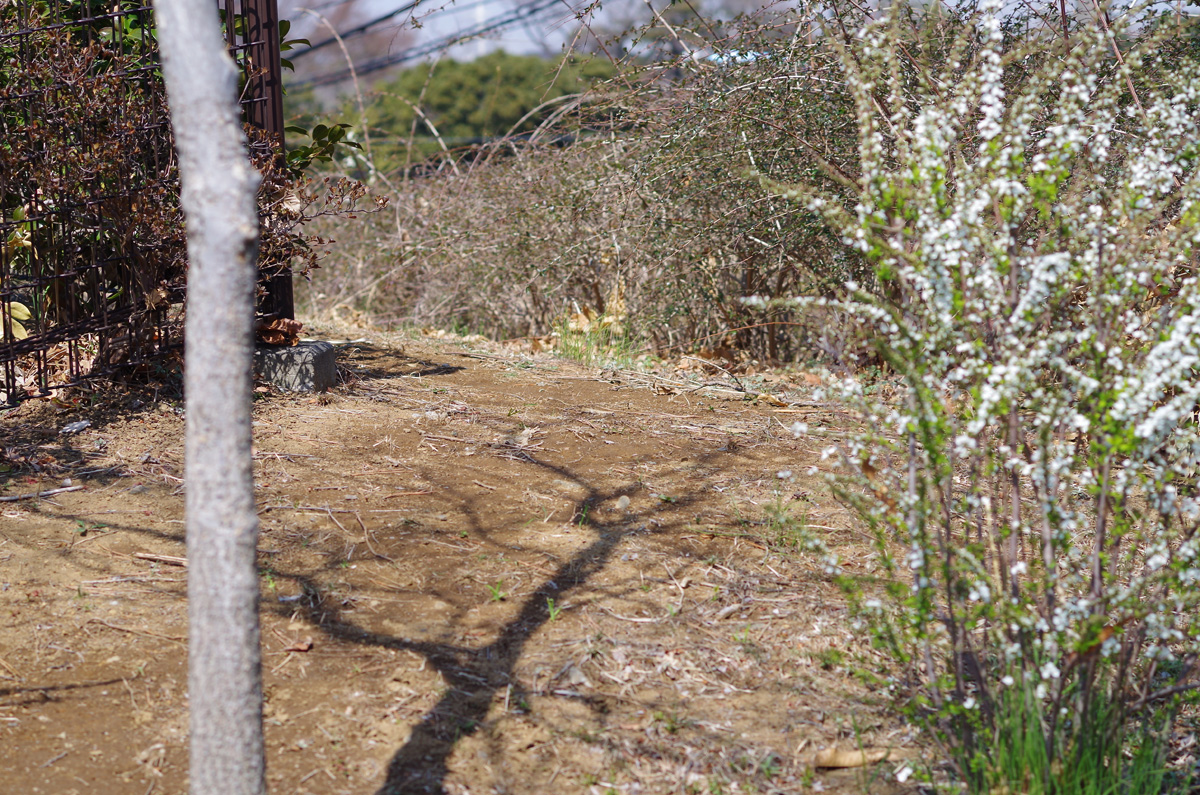 f:id:com:20140325121432j:image