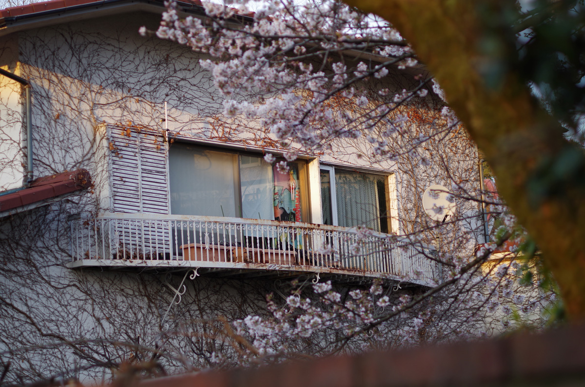 f:id:com:20140329172244j:image