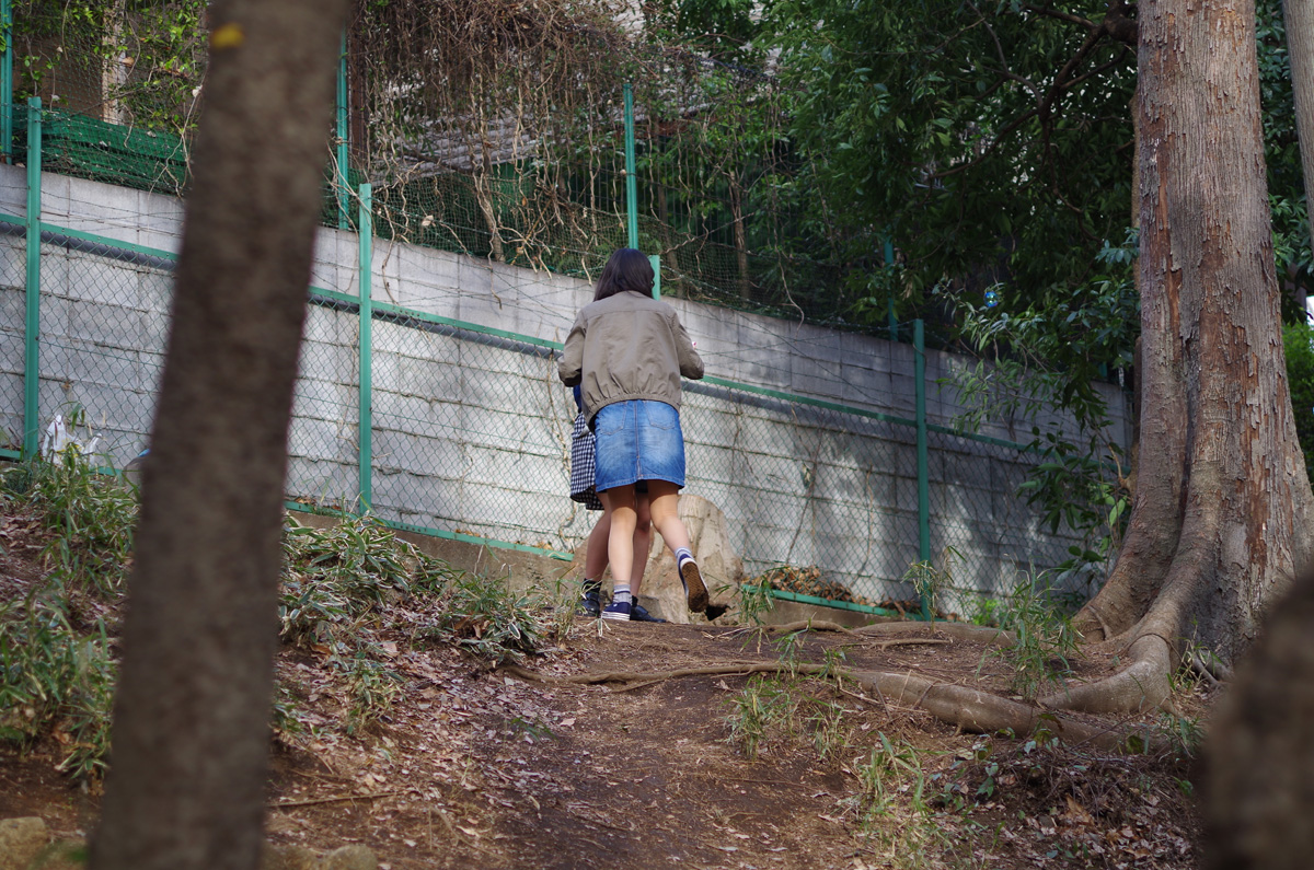 f:id:com:20140331160212j:image