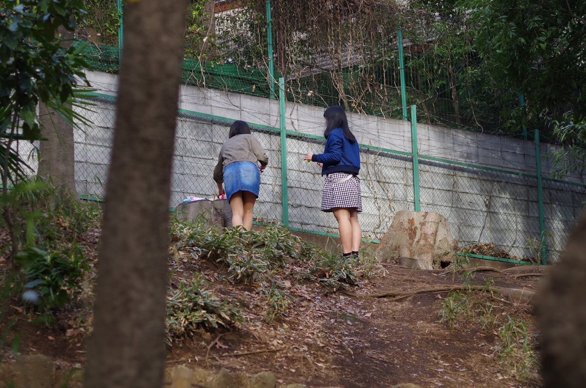 f:id:com:20140331160219j:image
