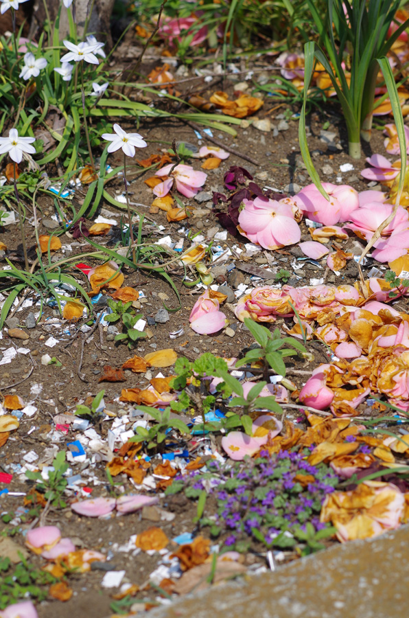 f:id:com:20140410125012j:image