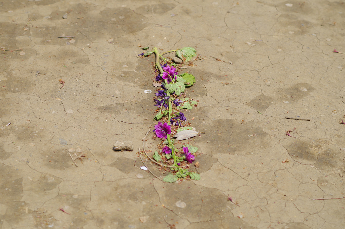 f:id:com:20140416123356j:image