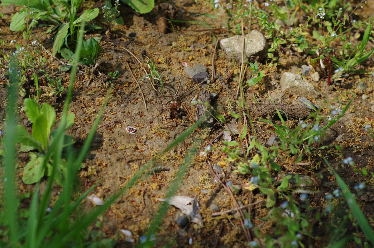f:id:com:20140417125008j:image