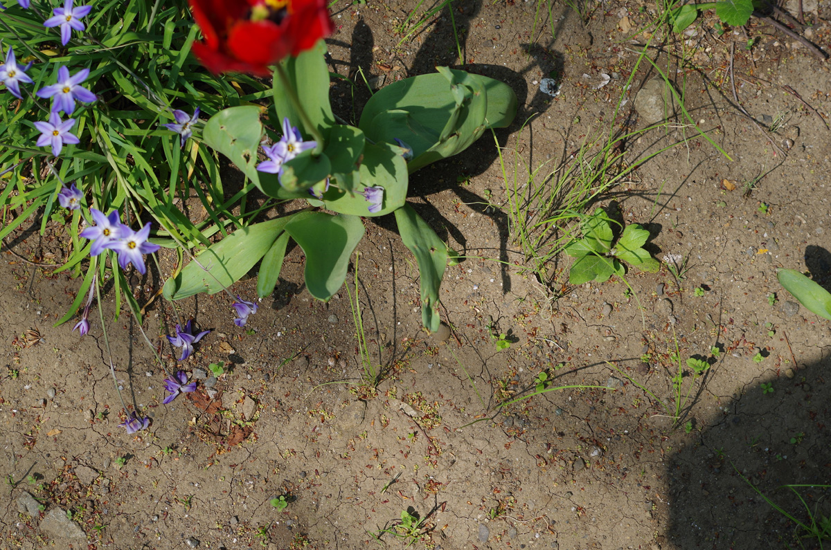 f:id:com:20140417125927j:image