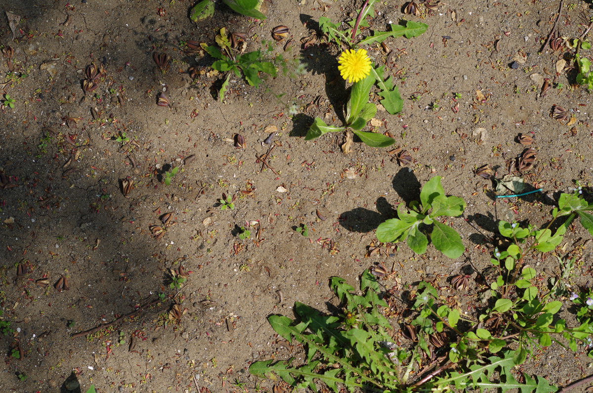 f:id:com:20140417130027j:image