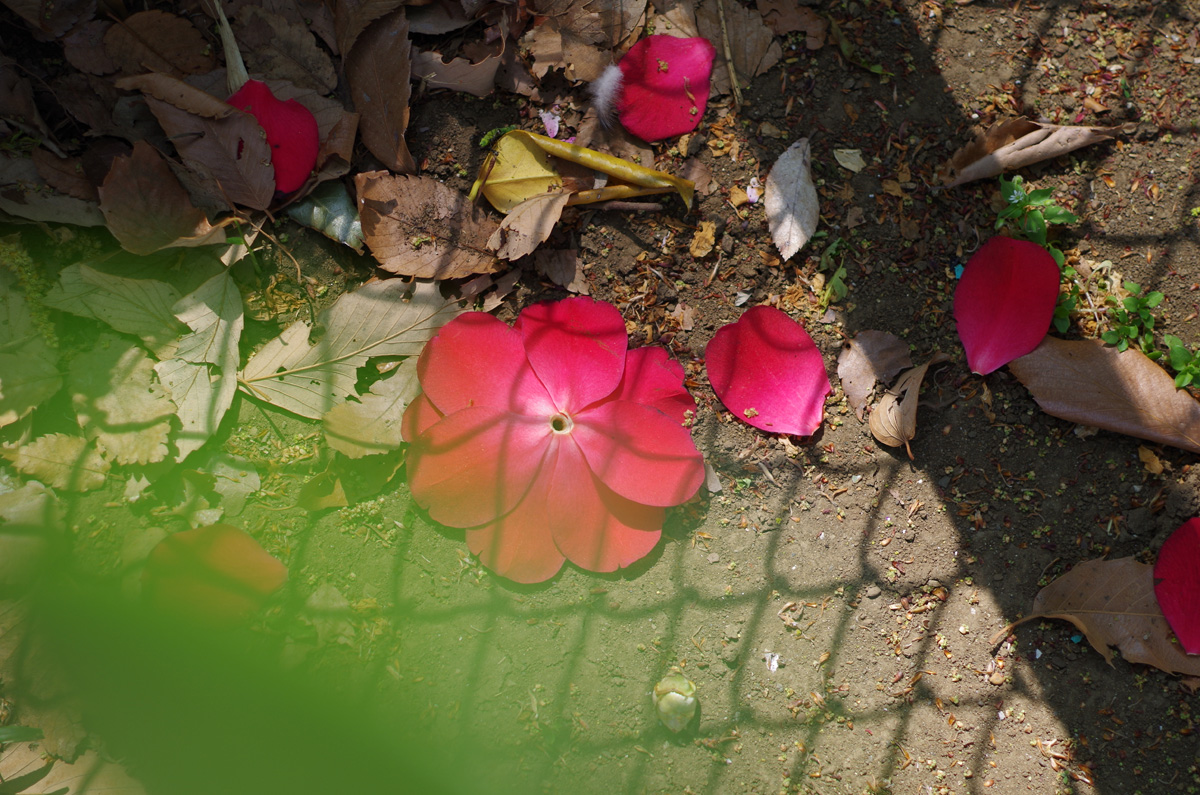 f:id:com:20140417130305j:image