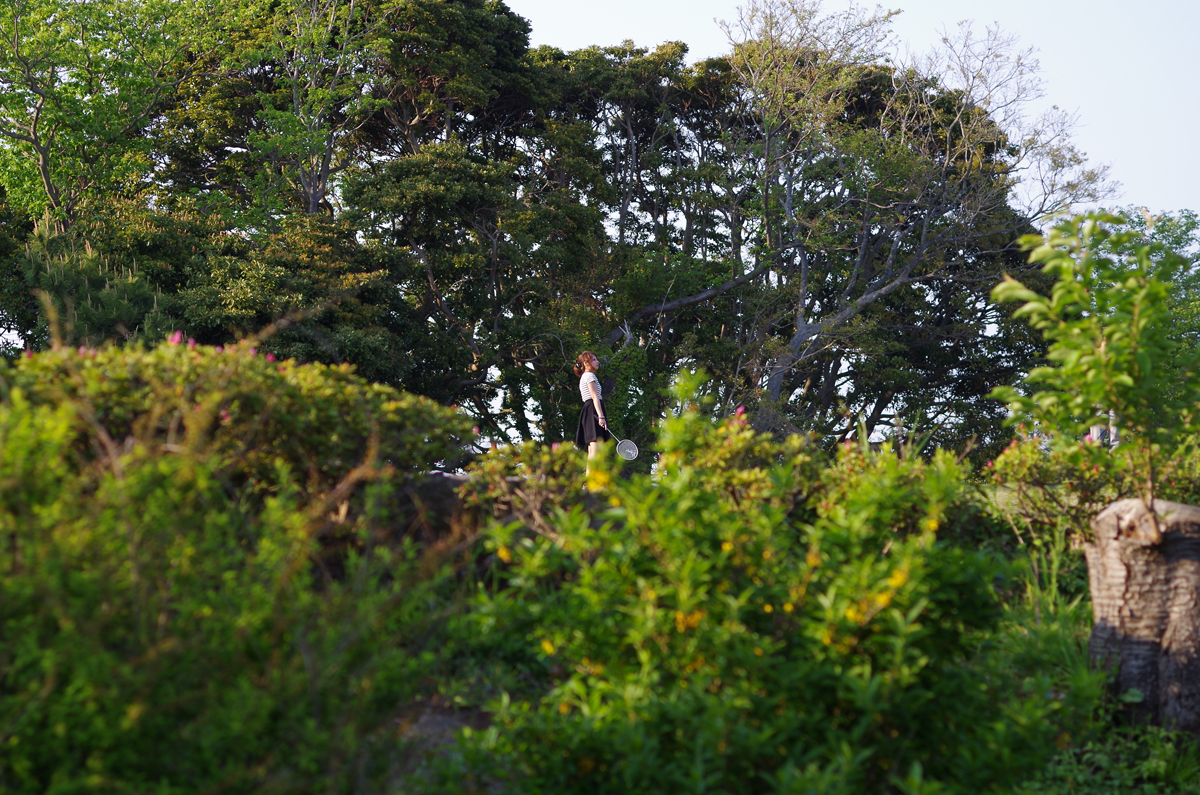 f:id:com:20140426163903j:image