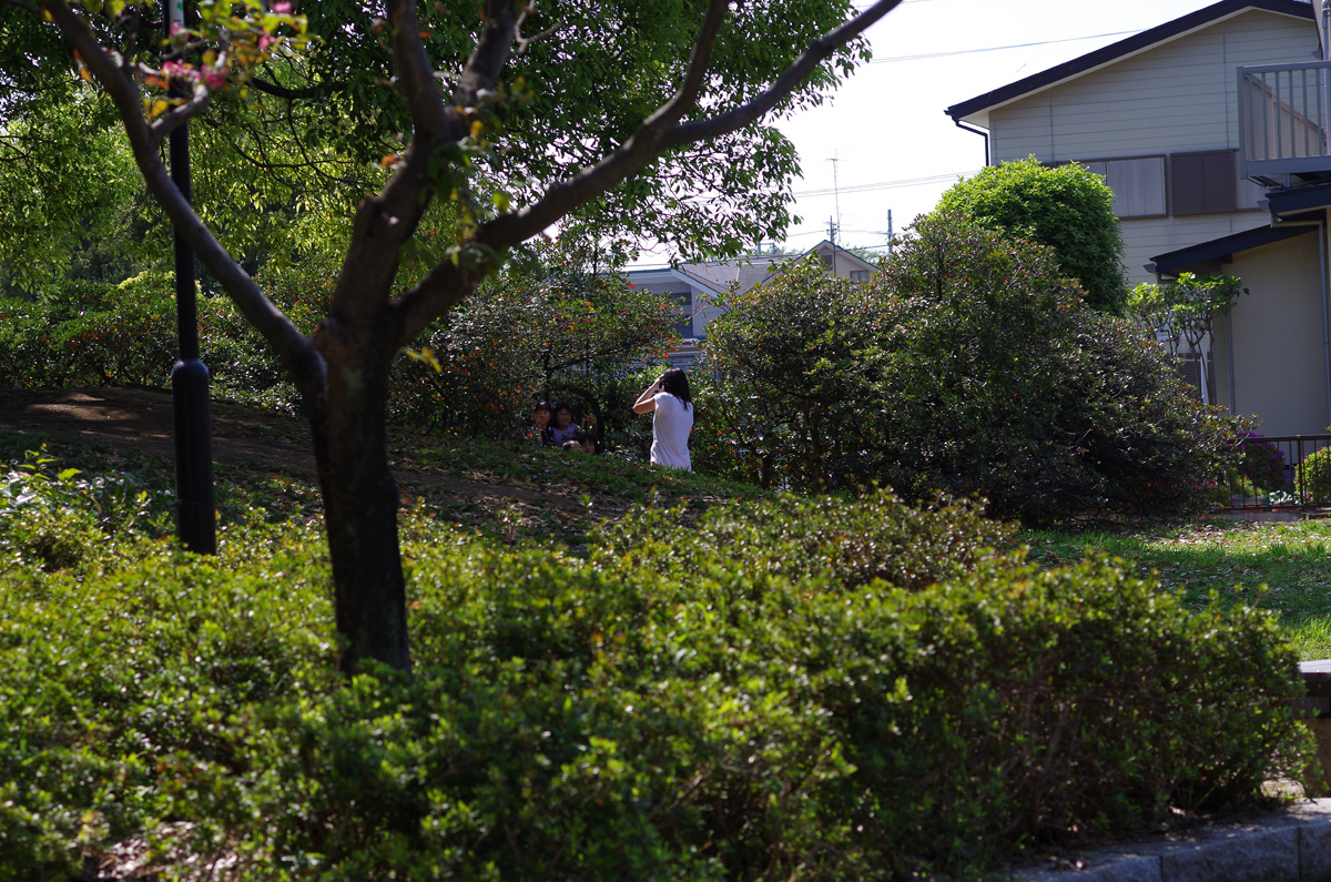 f:id:com:20140427135012j:image