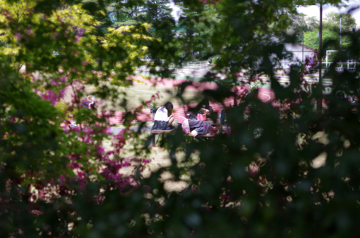 f:id:com:20140428124636j:image
