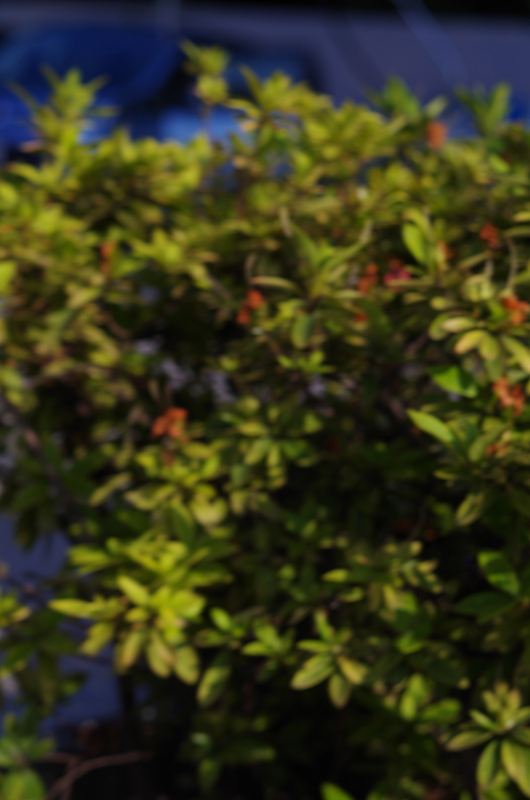f:id:com:20140530165657j:image