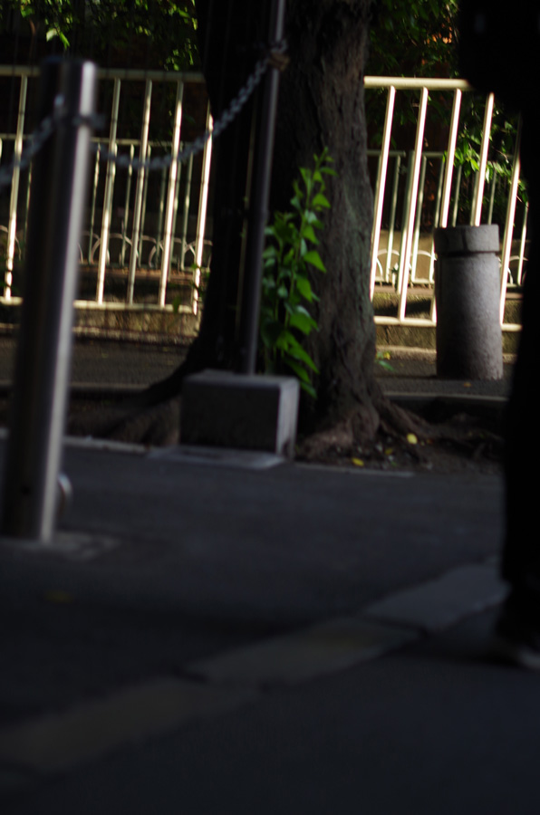 f:id:com:20140530171305j:image