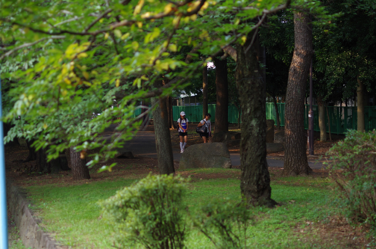 f:id:com:20140723165107j:image