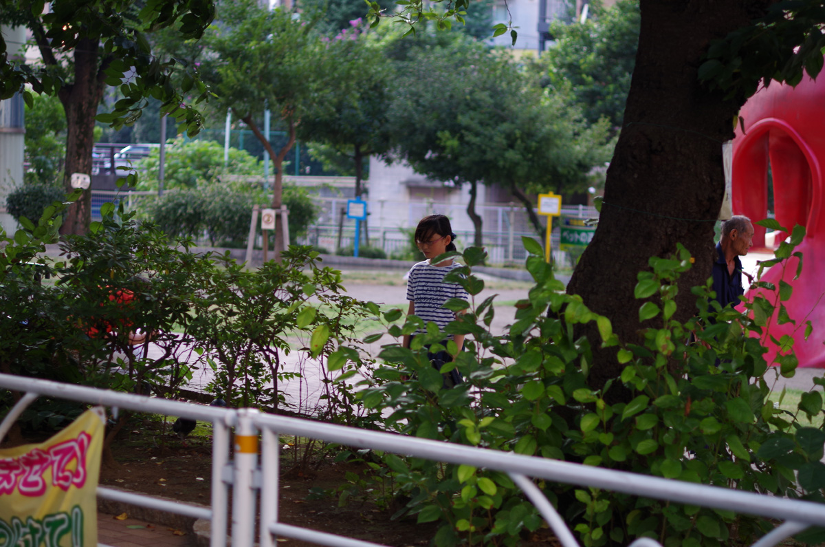 f:id:com:20140726174053j:image