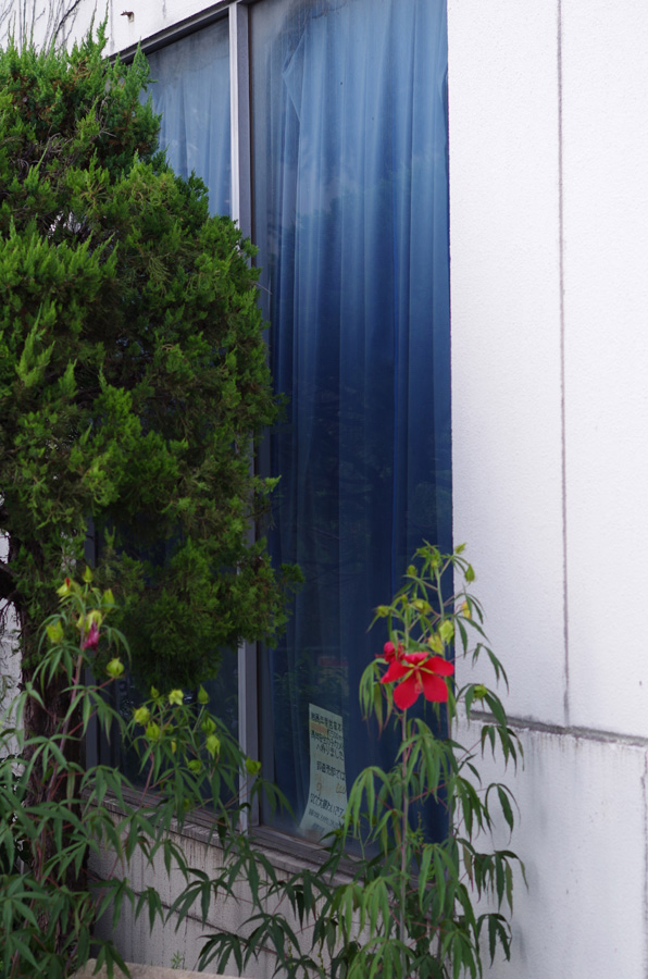 f:id:com:20140729153851j:image