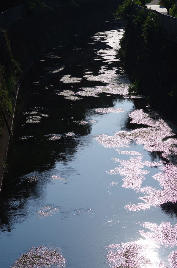 f:id:com:20140730164702j:image