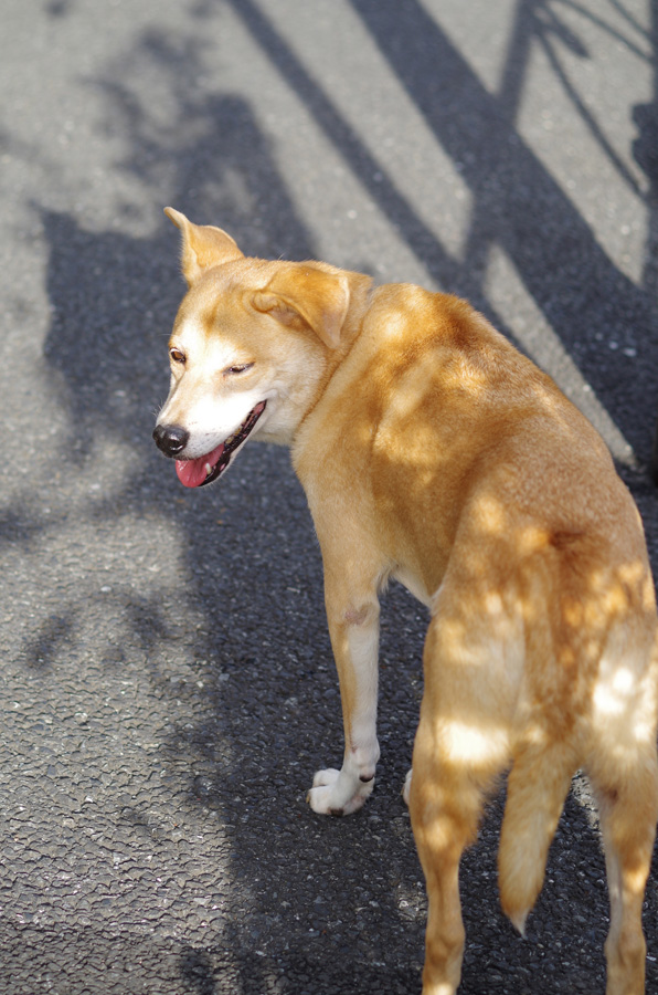 f:id:com:20140804170757j:image