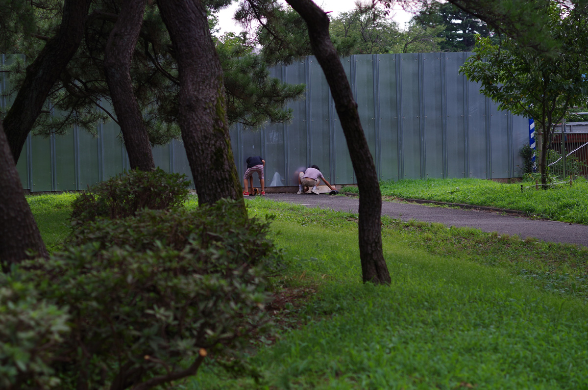 f:id:com:20140811164032j:image
