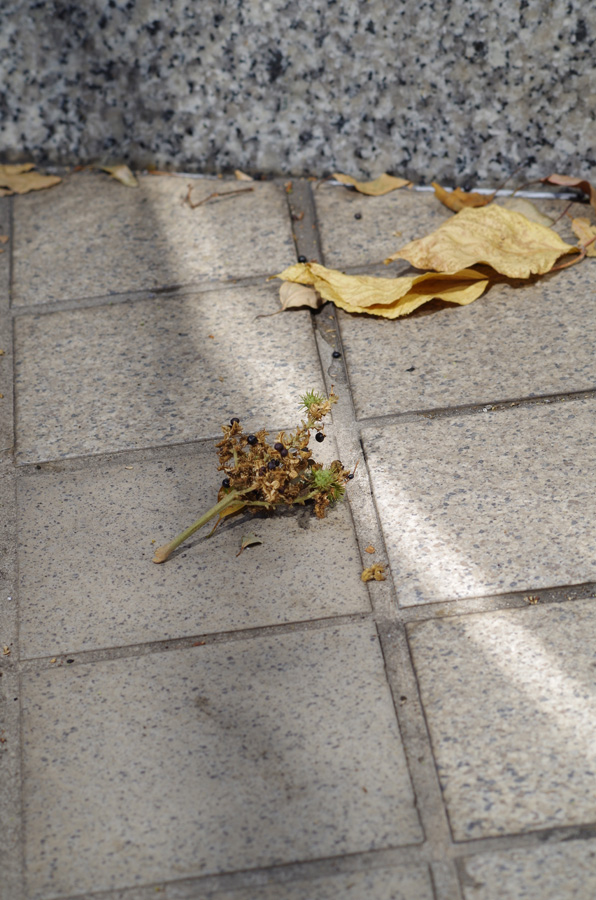 f:id:com:20140921122023j:image