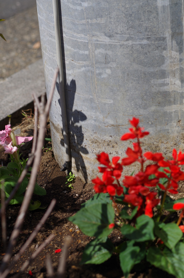 f:id:com:20140921122234j:image